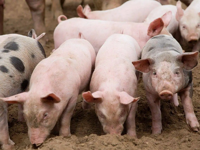 ＾ҪעʲôƺҪһҪĵ