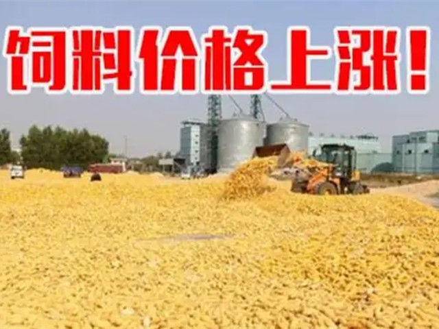 ںϼ۸ٴϳҲп࣡ﶬҪԵø