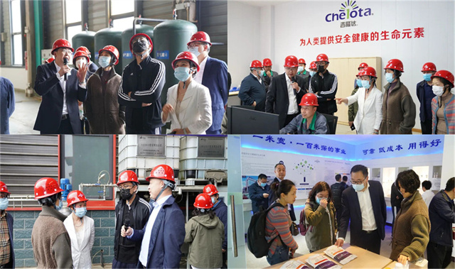 ͨɷݴιppģл΢Ԫع