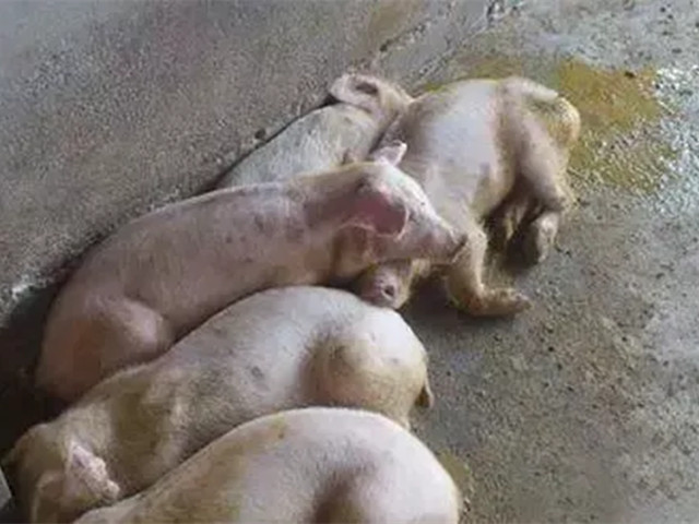 2022궬к֢״ղأ