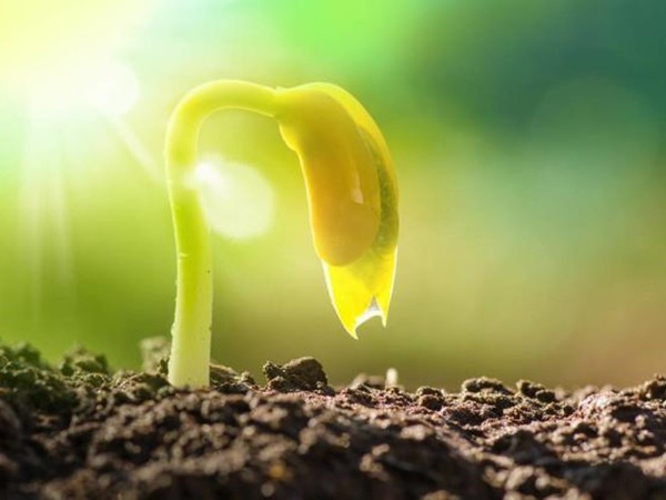 ppģppģߵˮ