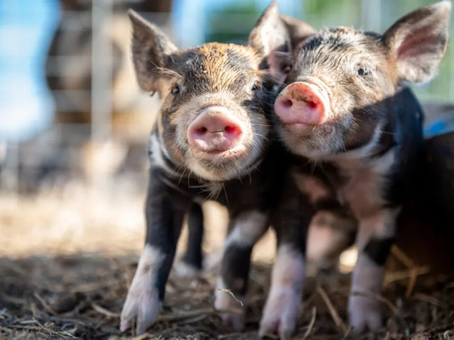 нҪμ⼸Ҫ㣡