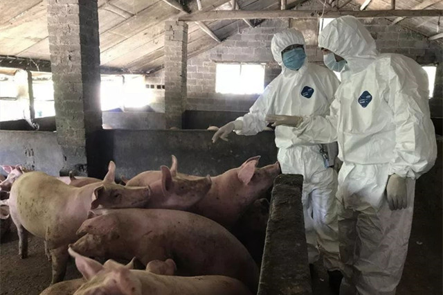 非洲瘟防控 非洲瘟防控